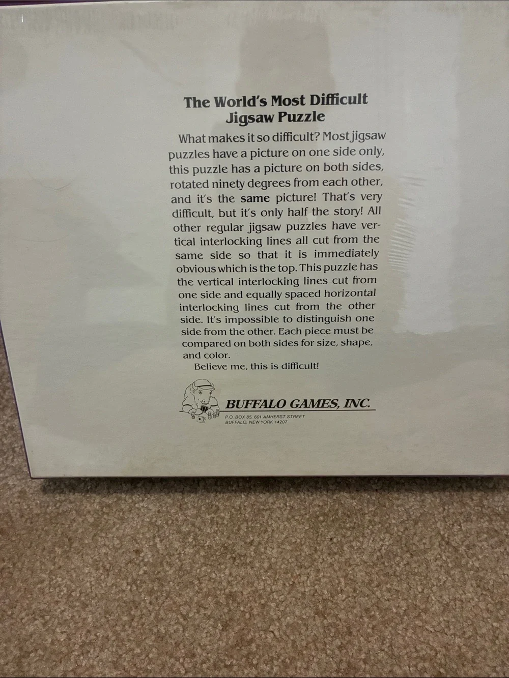 World’s Most Difficult Puzzle- Airport Edition Jigsaw Puzzle